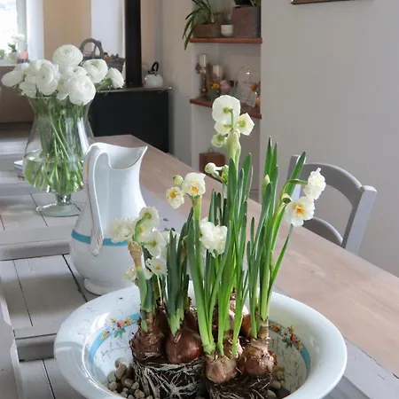 Bed & Breakfast Casa Viola Dimora Di Campagna Calice Ligure