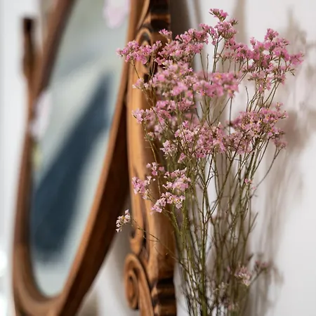 Bed and Breakfast Casa Viola Dimora Di Campagna *