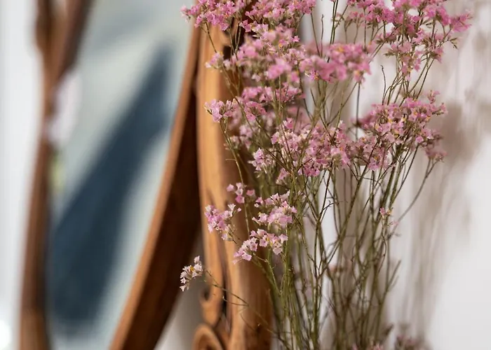 Bed & Breakfast Casa Viola Dimora Di Campagna 3*